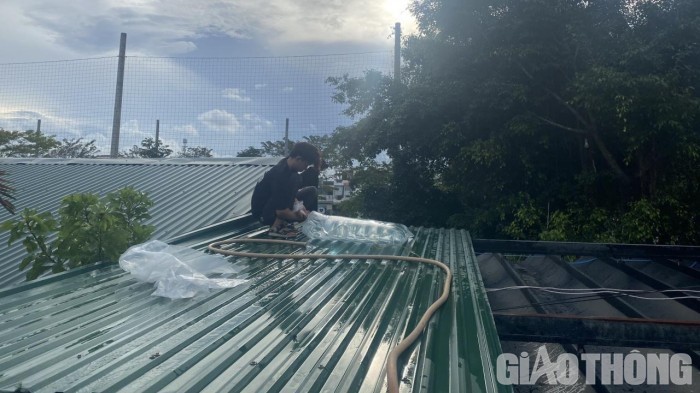 Việc vận chuyển các 