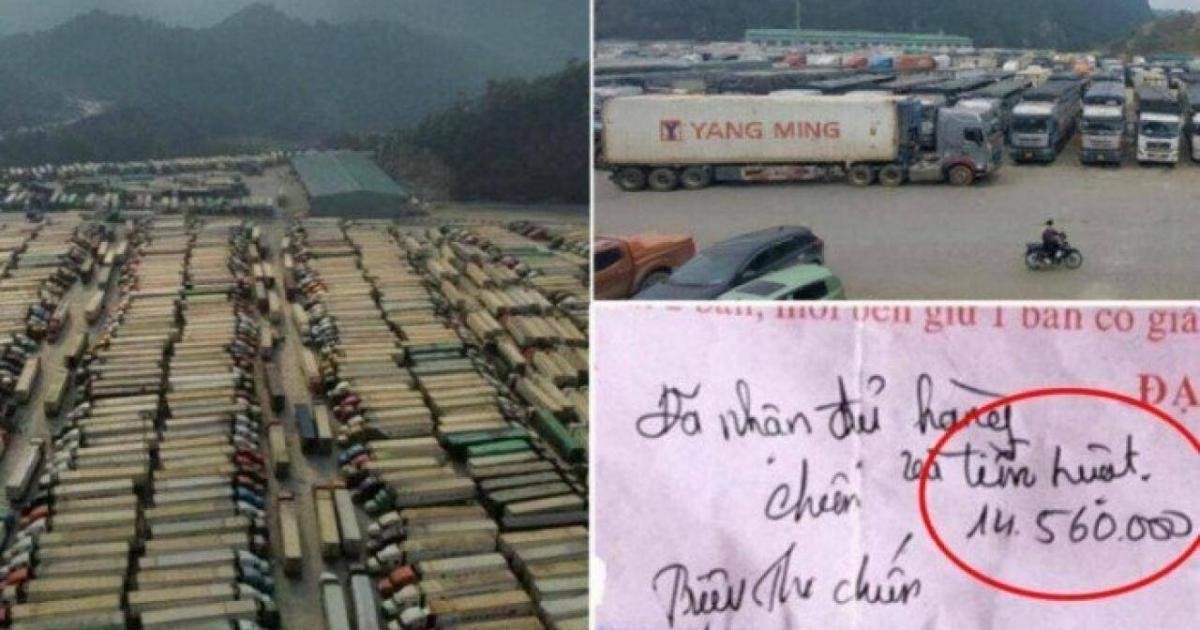 Thủ tướng yêu cầu kịp thời phát hiện và xử lý nghiêm các trường hợp công chức hải quan có hành vi nhũng nhiễu, tiêu cực khi làm thủ tục thông quan hàng hóa xuất khẩu, nhập khẩu