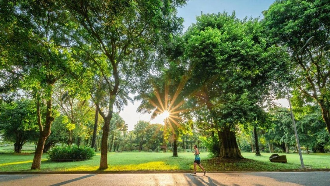 Bí mật của những người được thiên nhiên “chữa lành”