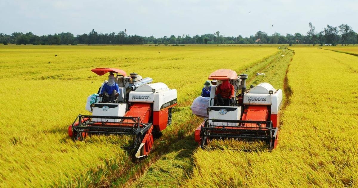 Cơ giới hóa trong sản xuất nông nghiệp ở ĐBSCL.