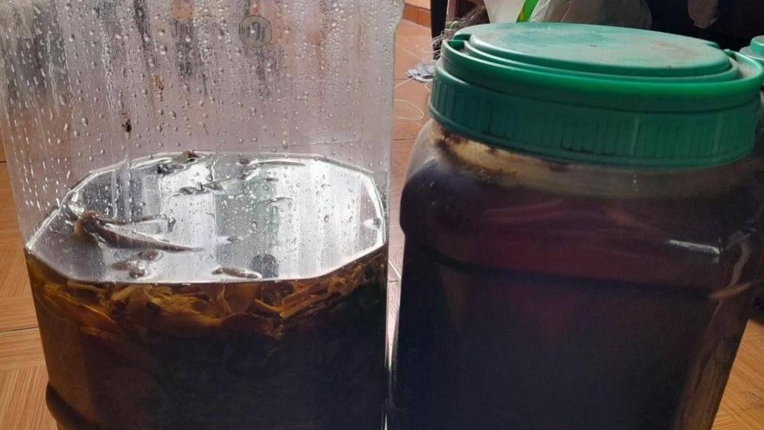 Nhậu rượu ngâm thuốc, 1 người tử vong, 1 đang cấp cứu