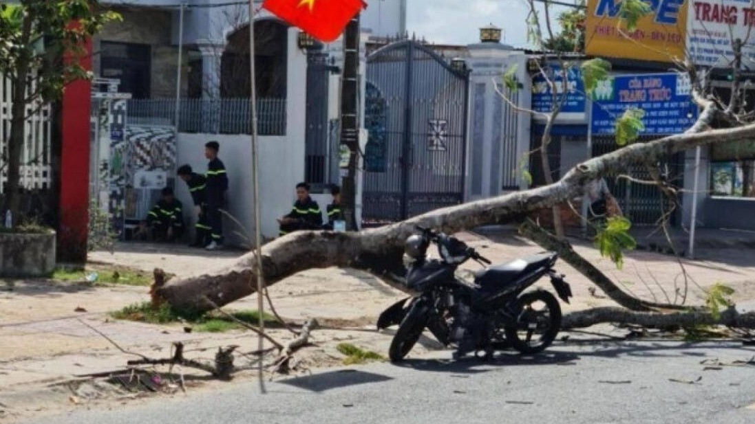 Hai thanh niên nhập viện vì cây điệp bật gốc đổ đè trúng trưa 30 Tết