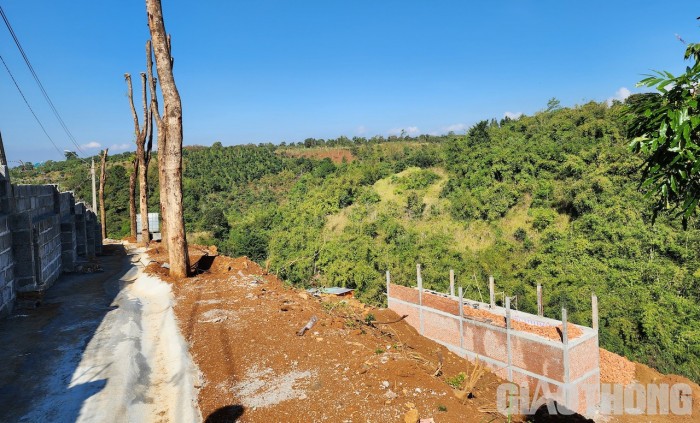 Nhà nuôi chim yến xây dựng trái phép, mặc dù bị chính quyền yêu cầu tạm dừng nhưng chủ nhà không chấp hành. Ảnh: H.Y