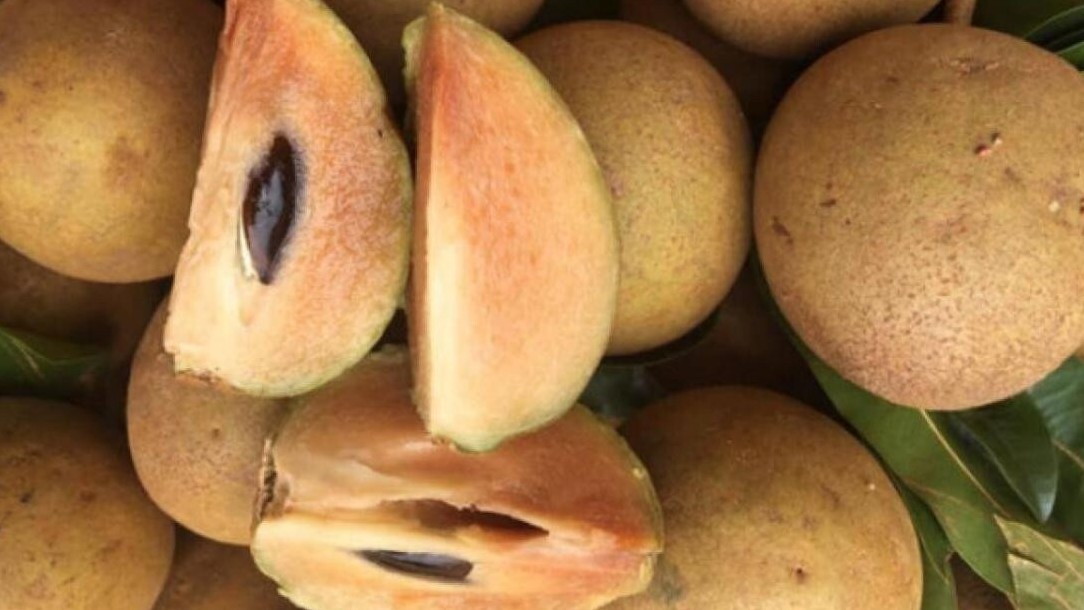 Có phải cứ ăn các loại quả này sẽ có hơi cồn như uống rượu bia?