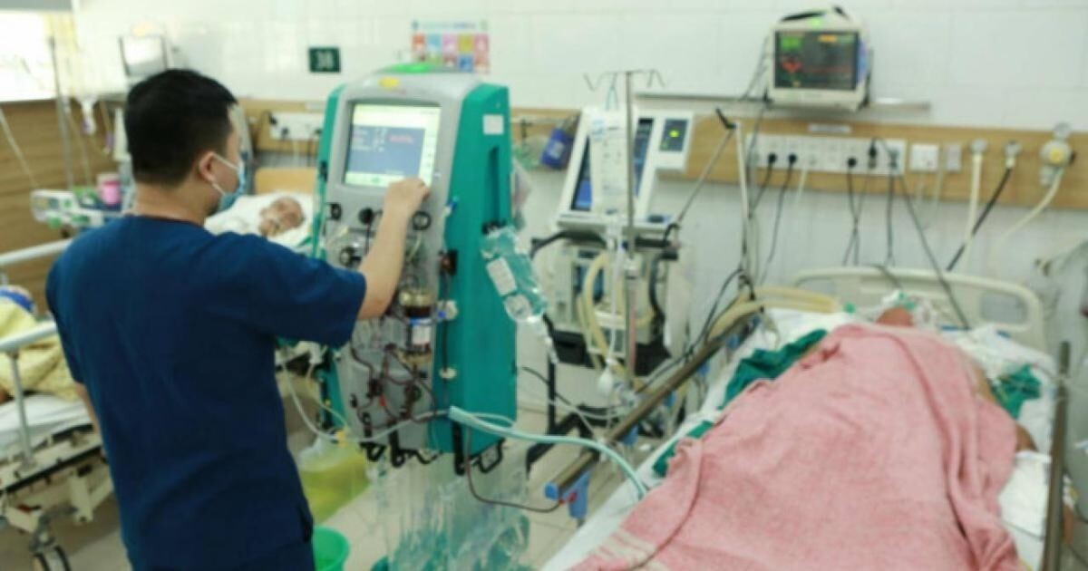 Một bệnh nhân ngộ độc nấm độc hiện đang được điều trị tại BV Bạch Mai