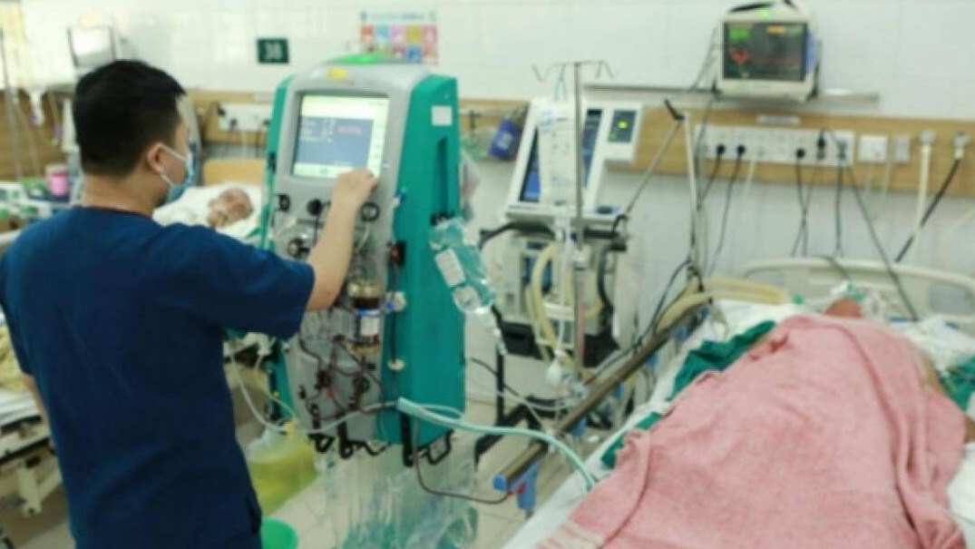 Một ca tử vong, 5 ca cấp cứu sau khi ăn nấm dại hái ven đường