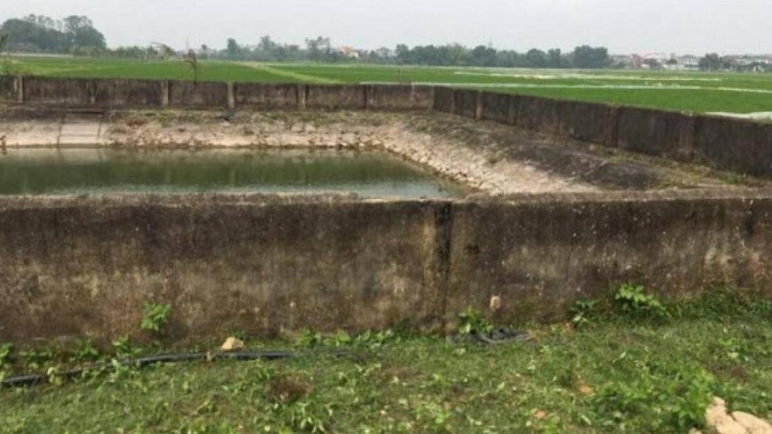 Tá hỏa phát hiện anh trai, em gái và cháu ruột tử vong dưới giếng làng