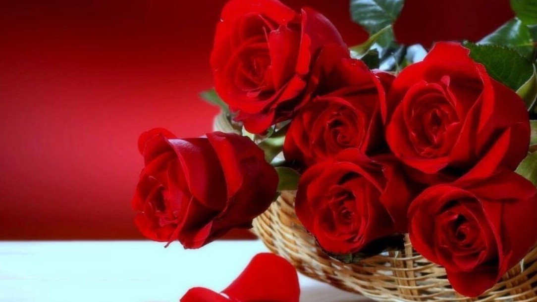 Lời chúc tình cảm nhất ngày 8/3 dành cho vợ, mẹ, mẹ chồng bằng tiếng Anh