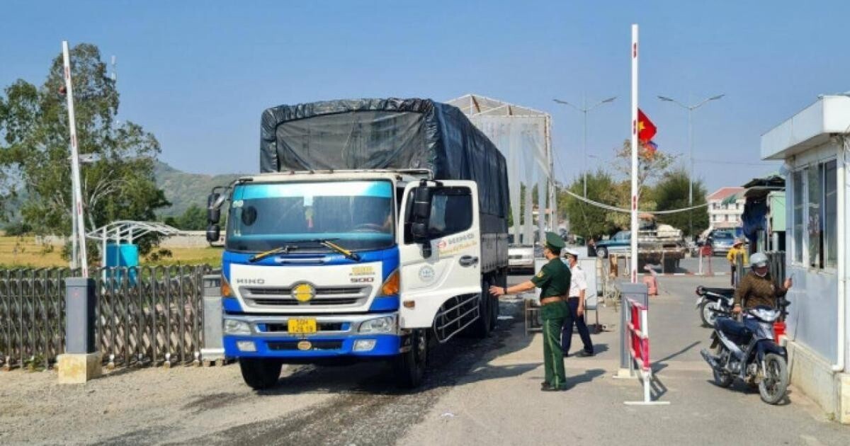 An Giang kiên quyết xử lý nghiêm các trường hợp vận chuyển trái phép gia cầm từ nước ngoài vào Việt Nam.