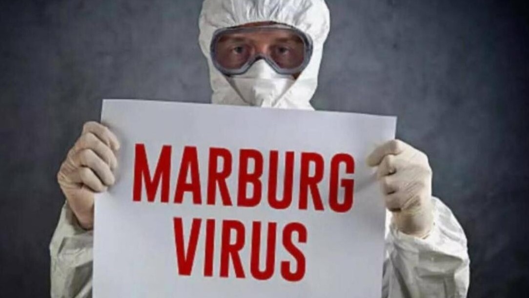 Loại virus Marburg vừa được Bộ Y tế cảnh báo nguy hiểm đến mức nào?
