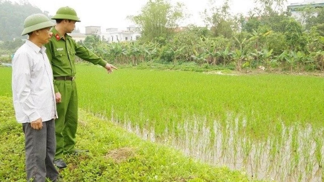 Giăng lưới bẫy chuột, vô tình làm hàng xóm bị điện giật tử vong
