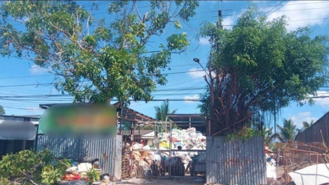 Nam thanh niên cắt tỉa cây bị điện giật tử vong