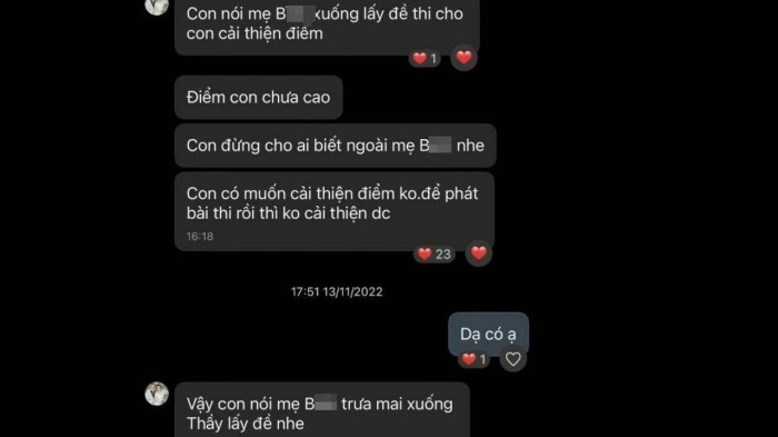 Nội dung tin nhắn của ông L. với nữ sinh V.A.