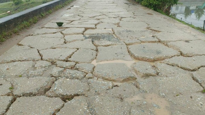 Đê biển Thái Bình hư hỏng nghiêm trọng, ai phải chịu trách nhiệm?