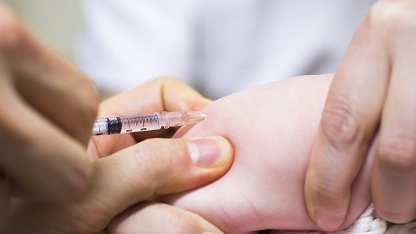 Hàm lượng benzyl alcohol trong liều tiêm vitamin K bảo đảm an toàn