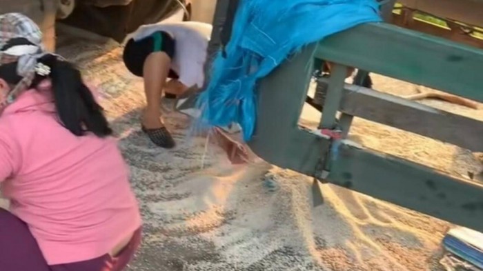 Một số người dân tranh thủ hốt gạo đổ ra đường sau khi xe container va chạm xe tải (Ảnh cắt từ clip)