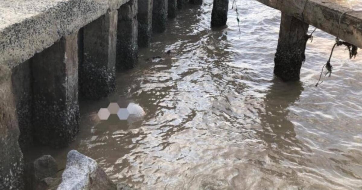 Khu vực phát hiện thi thể thiếu nữ trôi dạt vào bờ biển ở Cà Mau. Ảnh: CTV