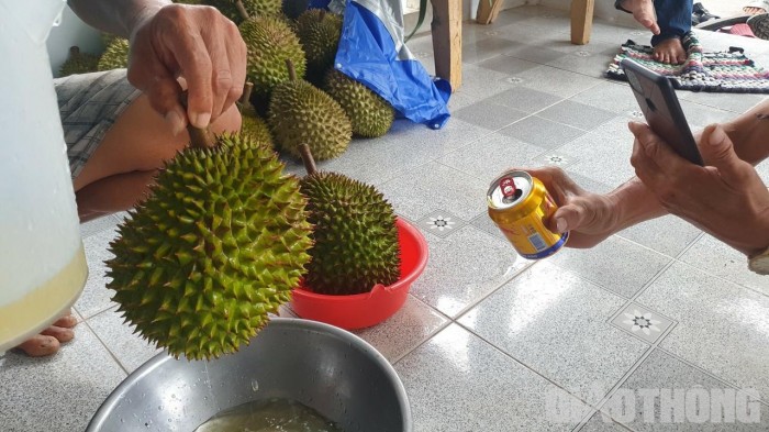 Chưa rõ việc sử dụng nước tăng lực để thúc chín sầu riêng bắt nguồn từ đâu