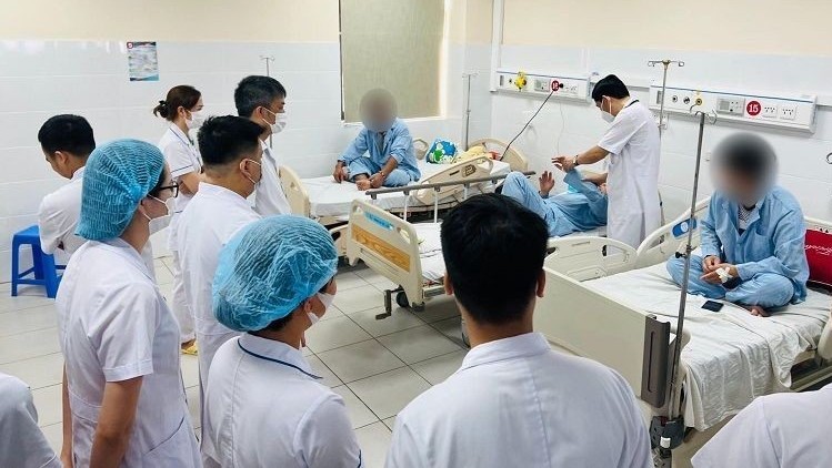 Sáu người ngộ độc do ăn trứng cá sấu hỏa tiễn