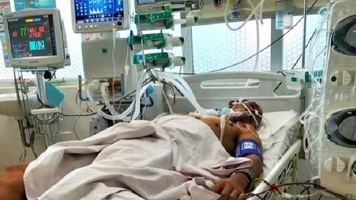 Ăn phải nấm độc, một người nguy kịch