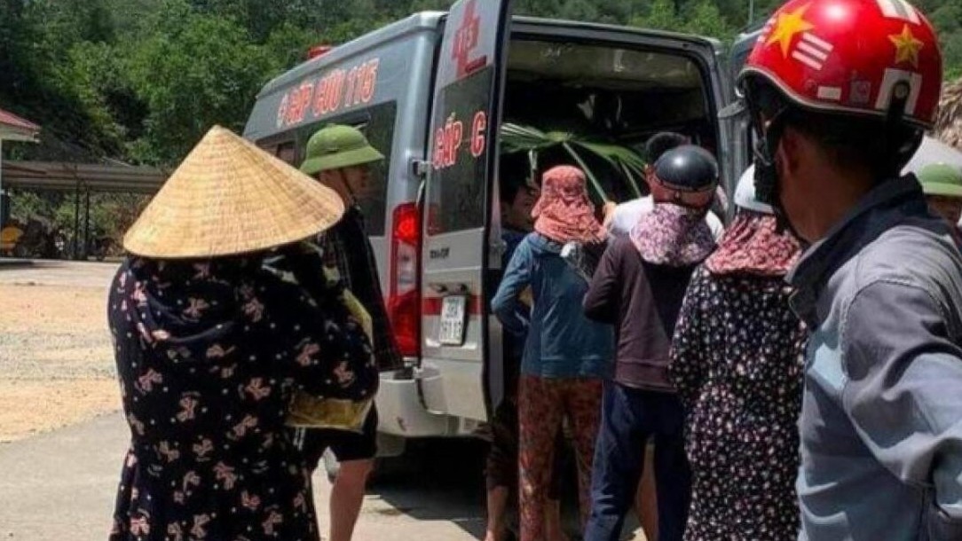 3 người vào rừng lấy mật, một người bị ong đốt tử vong