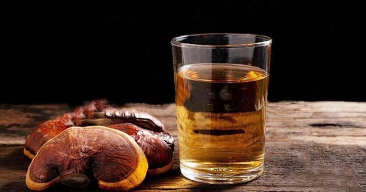 Sau khi uống rượu ngâm nấm, 7 người ở Thanh Hóa bị ngộ độc (Ảnh minh họa)