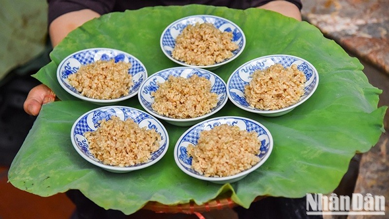 (Ảnh: NAM NGUYỄN - NHẬT QUANG)