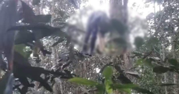 Hiện trường nạn nhân tử vong do đi bắt ong rừng.