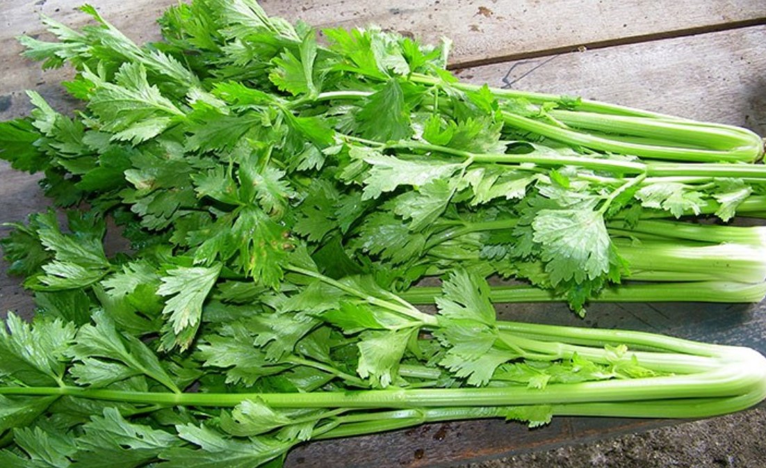 Dùng cần tây để giảm cân sao cho đúng?