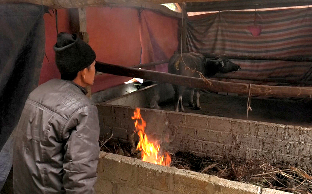 Người dân thắp đèn sưởi, mặc áo ấm, nấu cháo cho "đầu cơ nghiệp" trong giá lạnh miền núi