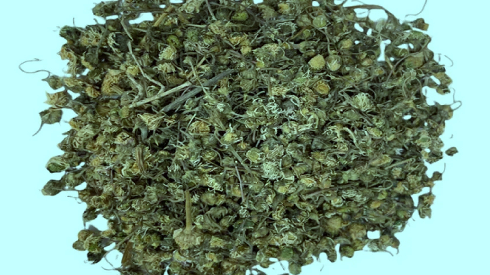 Hoa đào có thể chữa bệnh gì?