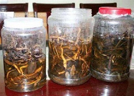 Bắc Giang: Uống rượu ng&acirc;m c&acirc;y rừng, 2 người chết, 1 người nguy kịch