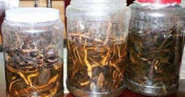 Bắc Giang: Uống rượu ngâm cây rừng, 2 người chết, 1 người nguy kịch