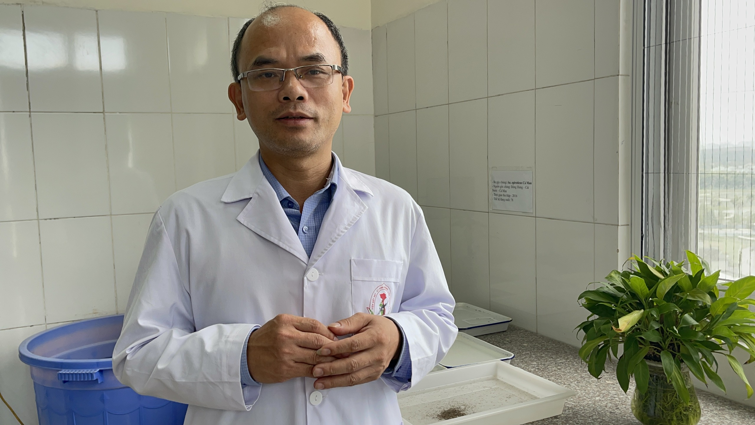 Tăng ca mắc sốt xuất huyết, chuyên gia chỉ cách diệt muỗi hiệu quả