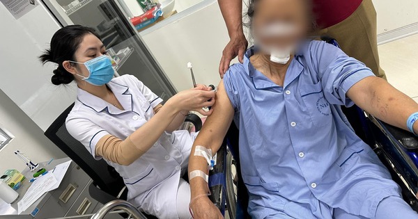 Bất ngờ bị chó hàng xóm tấn công, cụ bà phải khâu 70 mũi