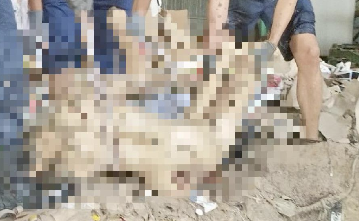 Một công nhân tử vong vì kẹt trong cối xay giấy