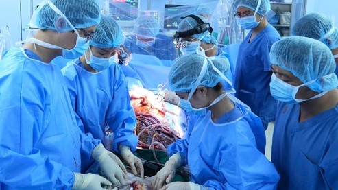 Một trái tim ngừng đập, nhiều cuộc đời hồi sinh