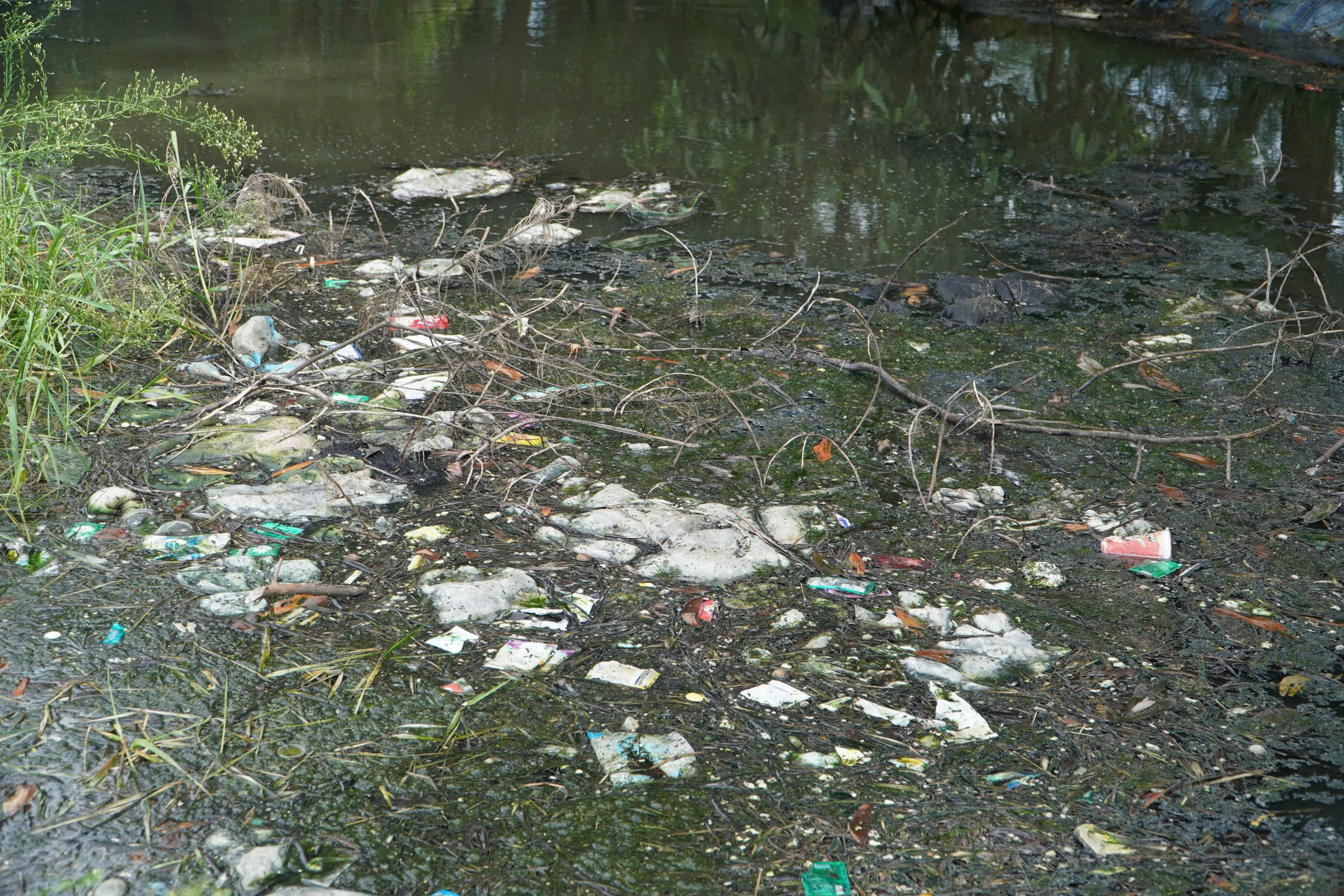 Người dân Hà Tĩnh sống khổ bên "thiên đường biển" vì nước thải khu du lịch