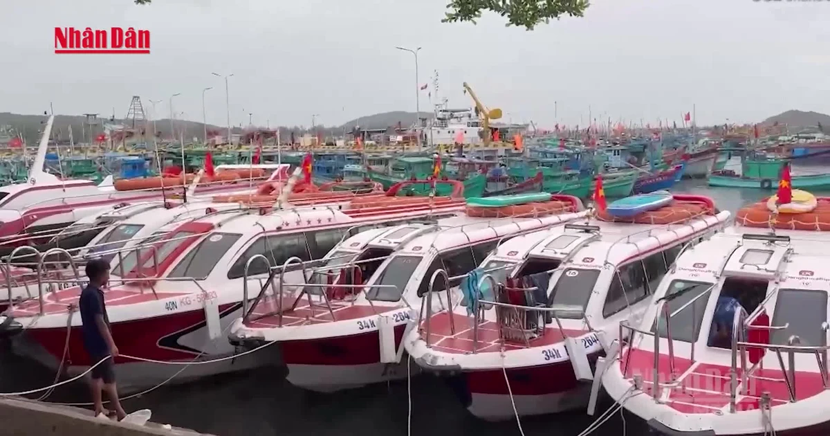 [Video] Hàng loạt ca nô và tàu du lịch tại Phú Quốc tạm dừng hoạt động