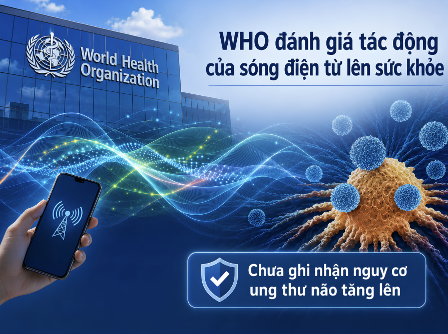 Nghiên cứu mới: Không có bằng chứng điện thoại di động gây ung thư não