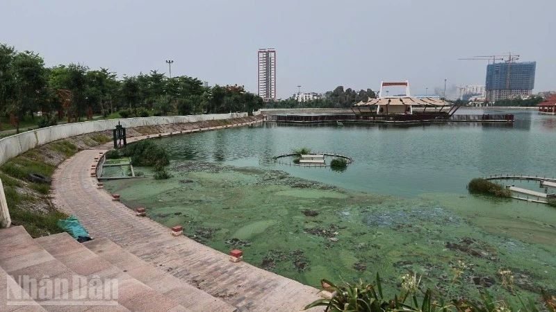 Hà Nội: Hồ điều hòa Công viên Ngọc Thụy bốc mùi, ô nhiễm kéo dài