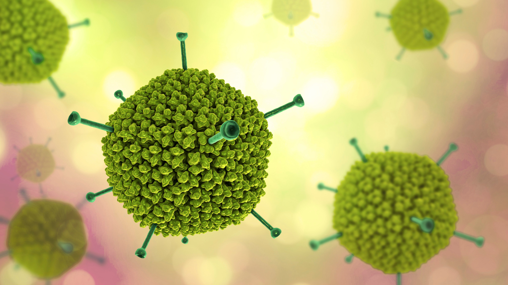 Bộ Y tế cảnh báo nguy cơ lây lan virus Adeno