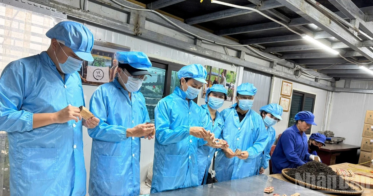 Tháng 7/2026, đời sống dân cư duy trì ổn định, công tác an sinh xã hội tiếp tục được quan tâm