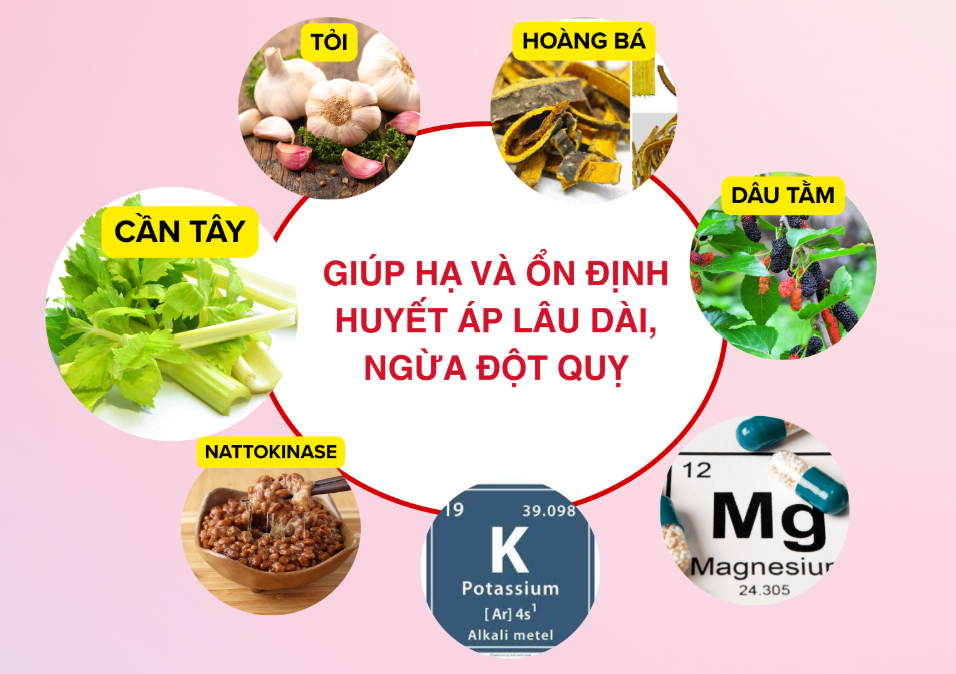 Người mới mắc v&agrave; người tăng huyết &aacute;p l&acirc;u năm c&oacute; thể kết hợp thảo dược để hỗ trợ ổn định huyết &aacute;p tốt hơn