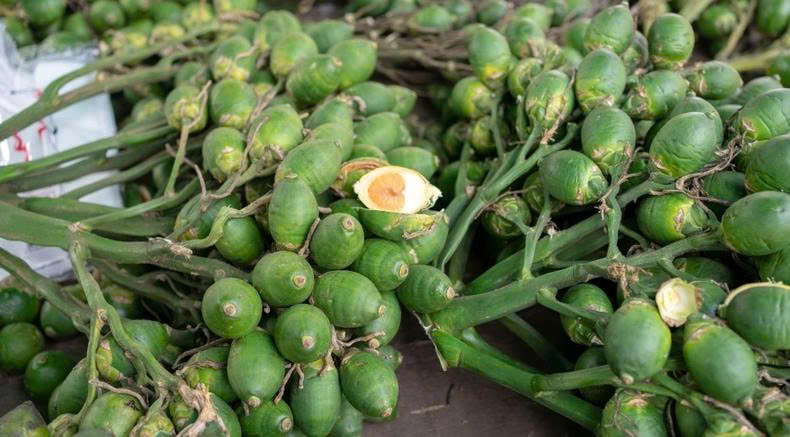 Quả cau không chỉ gắn với tục ăn trầu mà còn được dùng trong y học cổ truyền.
