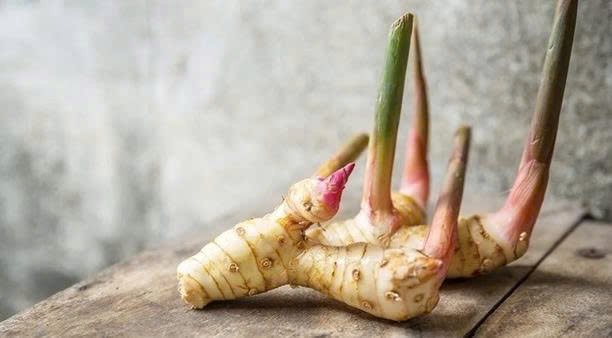 Ăn củ riềng đúng cách mang lại nhiều lợi ích cho cơ thể, từ tiêu hóa đến xương khớp