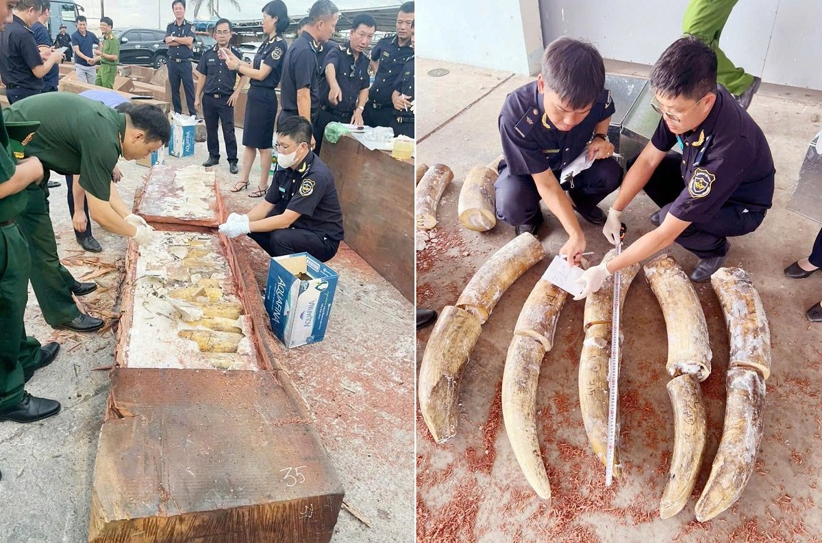 Số tang vật được cất giấu hết sức tinh vi. Ảnh: Hải quan cung cấp Số tang vật được cất giấu hết sức tinh vi. Ảnh: Hải quan cung cấp