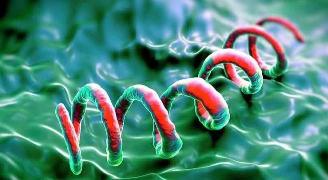 Từ những nốt sẩn đỏ, phát hiện bé 2 tháng tuổi mắc giang mai bẩm sinh