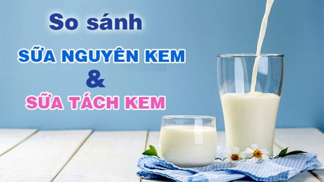 Nghiên cứu mới giải mã tác động của sữa nguyên kem đối với cân nặng và lợi ích giảm nguy cơ ung thư đại trực tràng