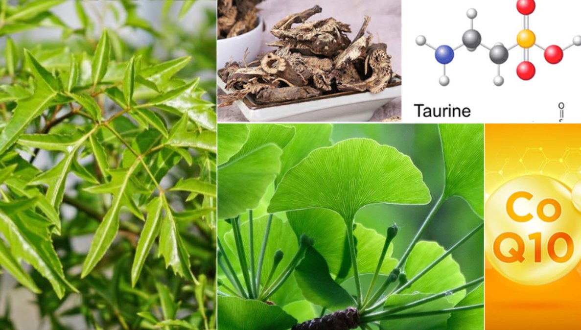 Một số thảo dược và dưỡng chất tốt cho trẻ tăng động giảm chú ý